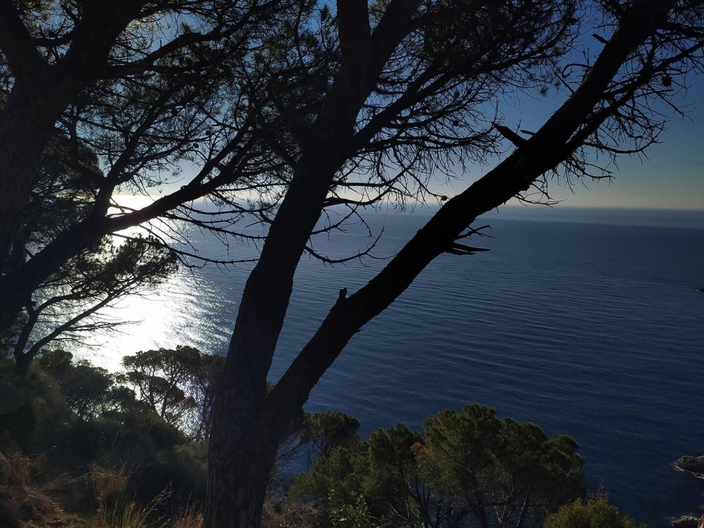 Appartamento Xalana Con Terraza Y Magnificas Vistas Al Mar Girona Esterno foto